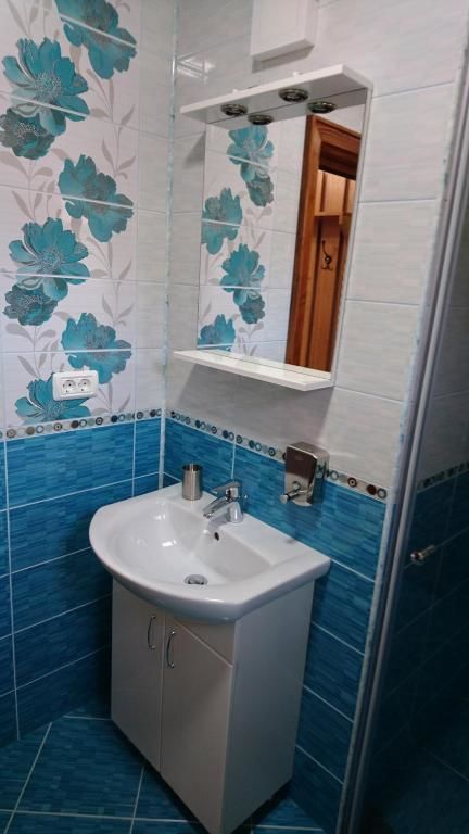 Гостевой дом Pensiunea Manidum Буштени-52